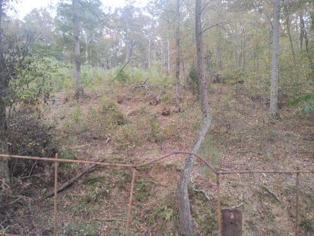 6006 SMOKEY Road, Athens, GA 30601