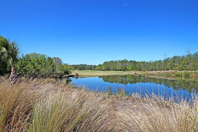 2705 Sarazen Drive, Mount Pleasant, SC 29466