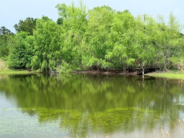 11602 Fm 389, Burton, TX 77835