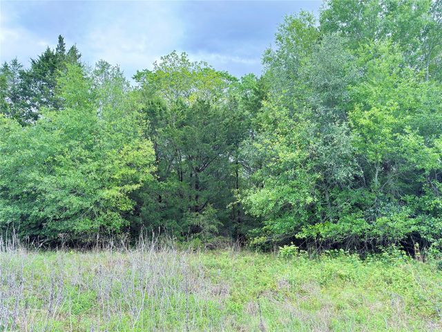 11602 Fm 389, Burton, TX 77835