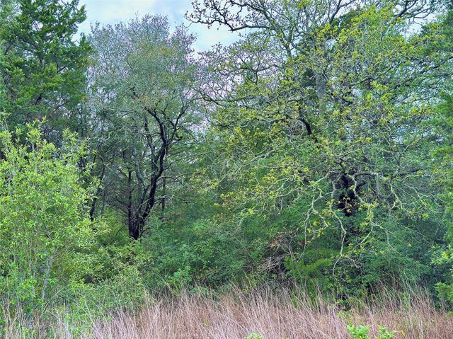11602 Fm 389, Burton, TX 77835