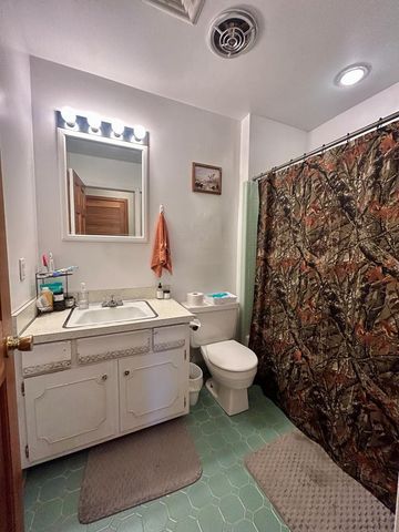 495 Rowland Mill Rd, Bruceton, TN 38317