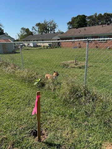 495 Rowland Mill Rd, Bruceton, TN 38317