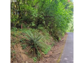 Coal Creek Rd, Scappoose, OR 97056