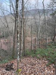 Goose Creek Lot #1 Rd, Seymour, TN 37865