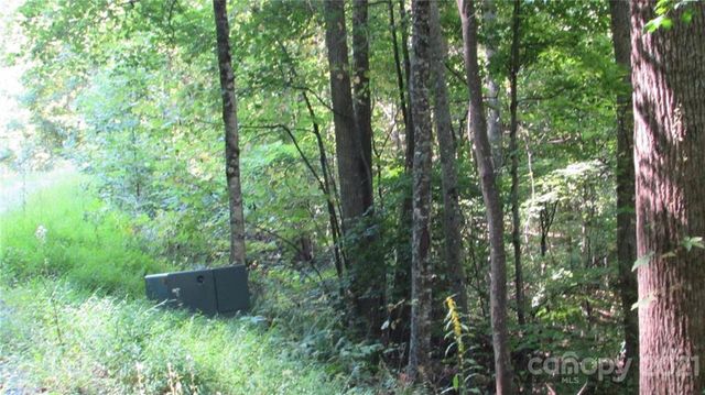 E- 17 Red Wolf Run None, Mars Hill, NC 28754