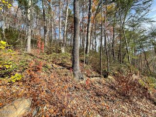 Lot 36R Sugar Mtn Way, Pigeon Forge, TN 37863