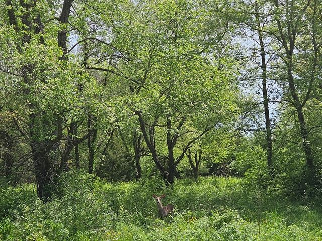 226 Platte Drive, Dixon, IL 61021