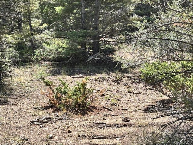 0 Sesame Rd, Fort Garland, CO 81133