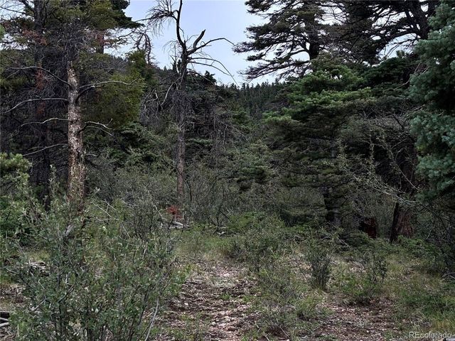 0 Sesame Rd, Fort Garland, CO 81133