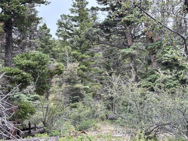 0 Sesame Rd, Fort Garland, CO 81133