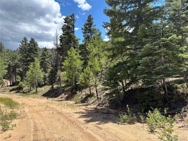 0 Sesame Rd, Fort Garland, CO 81133