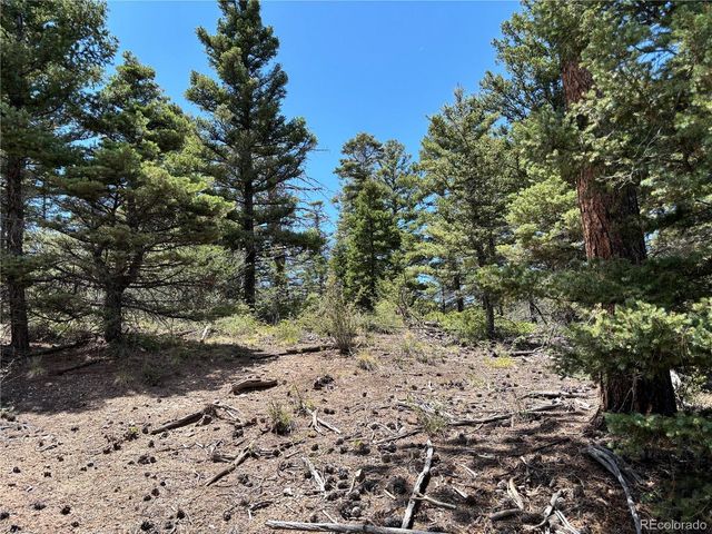 0 Sesame Rd, Fort Garland, CO 81133