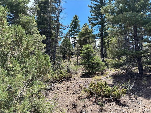 0 Sesame Rd, Fort Garland, CO 81133