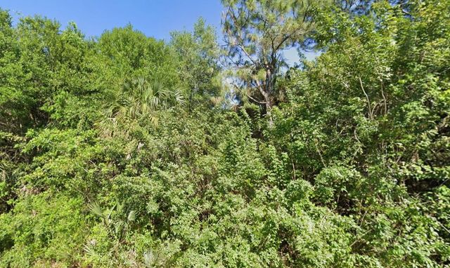 4702 Vera Ave, Lehigh Acres, FL 33971