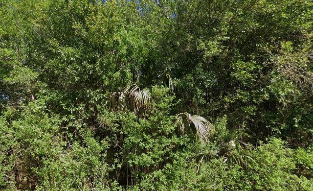 4702 Vera Ave, Lehigh Acres, FL 33971