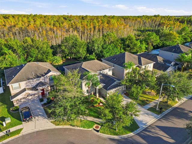 3546 MARMALADE COURT, Land O Lakes, FL 34638