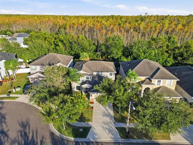 3546 MARMALADE COURT, Land O Lakes, FL 34638