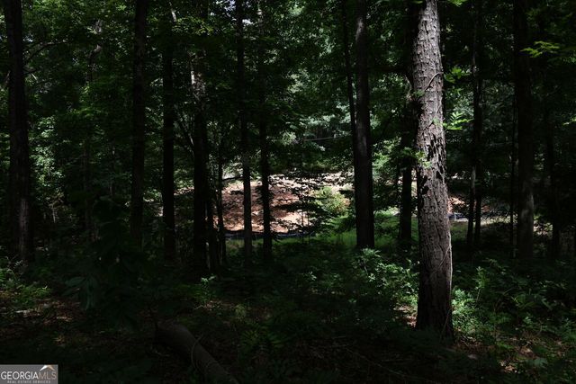 5435 Hearn Road, Ellenwood, GA 30294