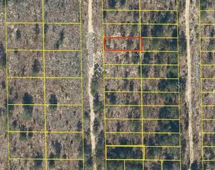 118 KANSAS AVENUE, Hawthorne, FL 32640
