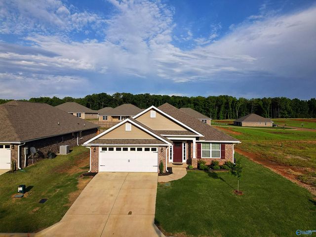 14228 Wildflower Drive, Harvest, AL 35749