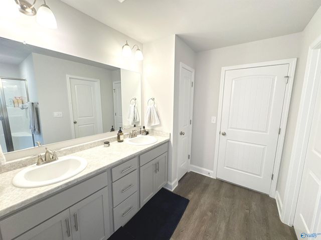 14228 Wildflower Drive, Harvest, AL 35749