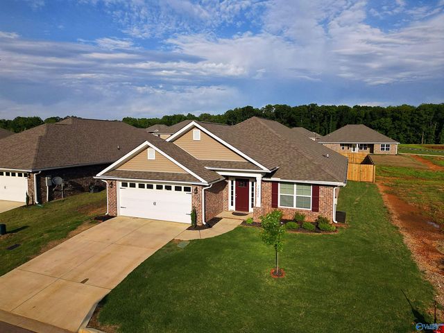14228 Wildflower Drive, Harvest, AL 35749