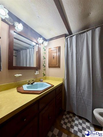 208 E 6th Avenue, Lake View, SC 29563