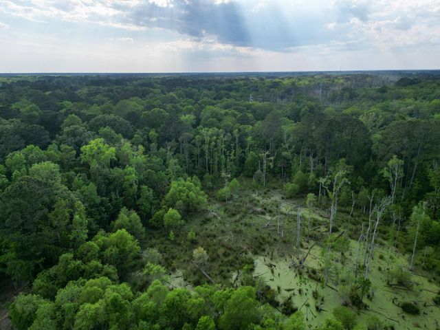000 Murraywood Road, Johns Island, SC 29455