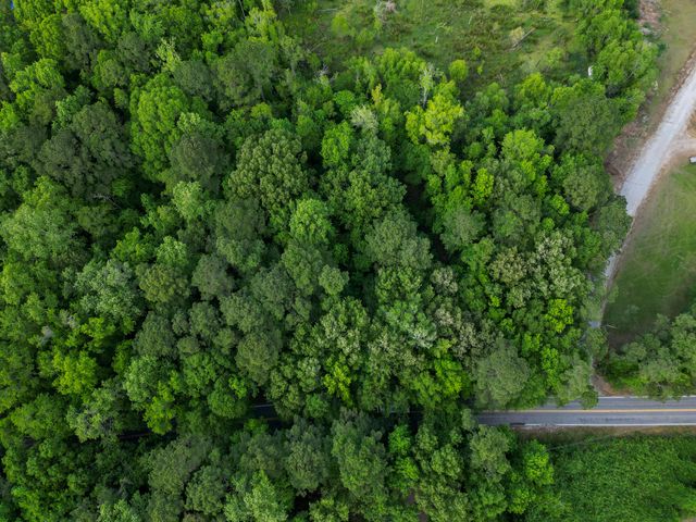 000 Murraywood Road, Johns Island, SC 29455