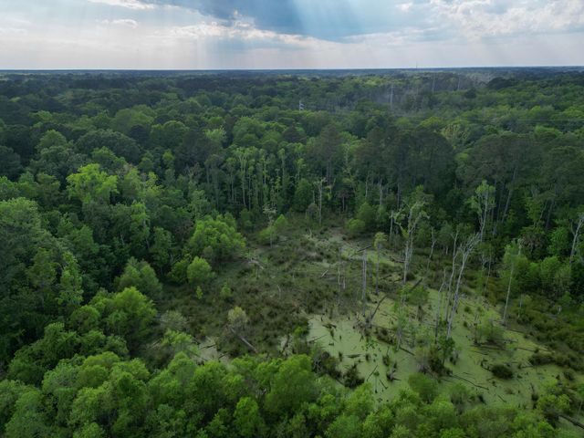 000 Murraywood Road, Johns Island, SC 29455