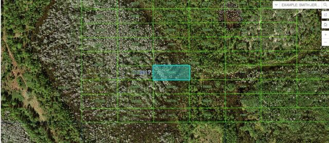 OLD GRADE RD, Polk City, FL 33868