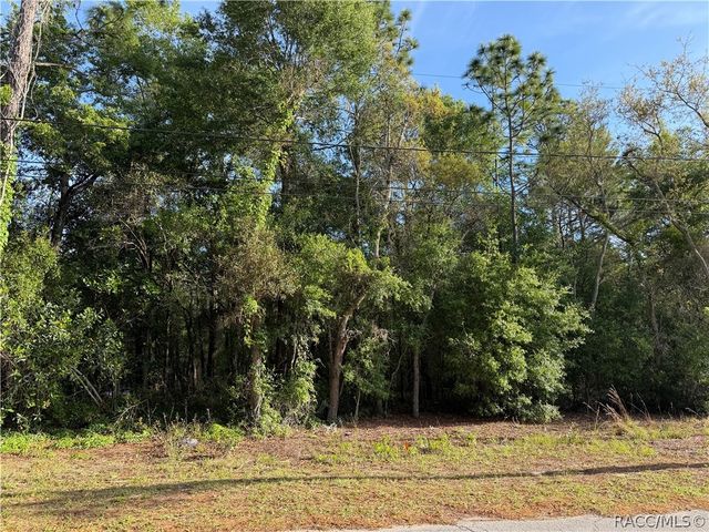 3259 E Glenn Street, Inverness, FL 34453