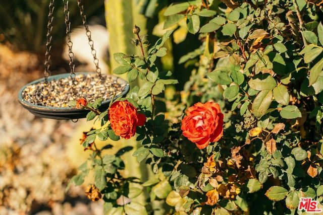 3311 Minto Court, Los Angeles, CA 90032