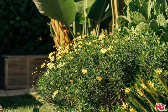 3311 Minto Court, Los Angeles, CA 90032