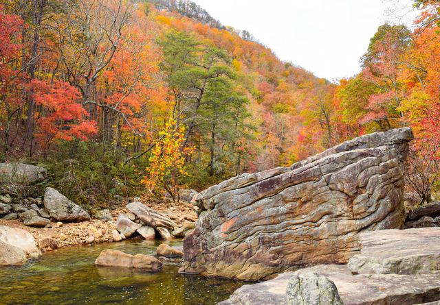 13166 Blakeslee Drive, Soddy Daisy, TN 37379