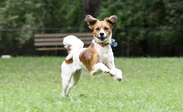 13166 Blakeslee Drive, Soddy Daisy, TN 37379