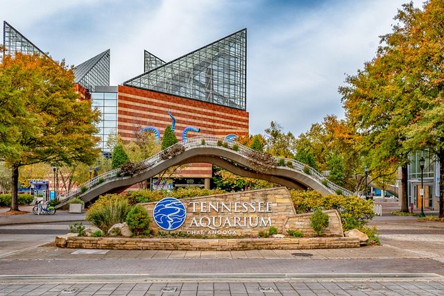 13166 Blakeslee Drive, Soddy Daisy, TN 37379