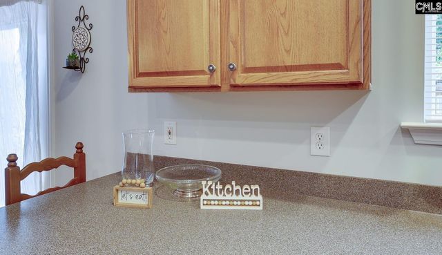 108 Gander Court, Lexington, SC 29072