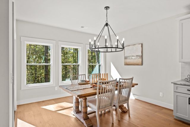 158 Tree Line Lane, Ellijay, GA 30536