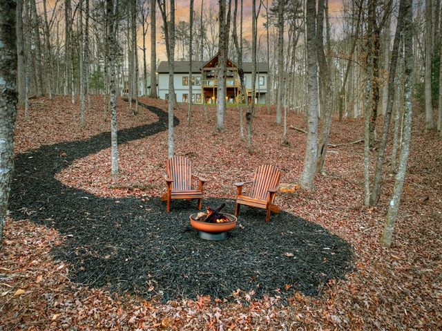 158 Tree Line Lane, Ellijay, GA 30536
