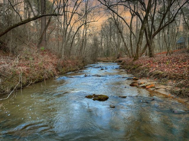 158 Tree Line Lane, Ellijay, GA 30536