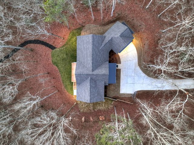 158 Tree Line Lane, Ellijay, GA 30536