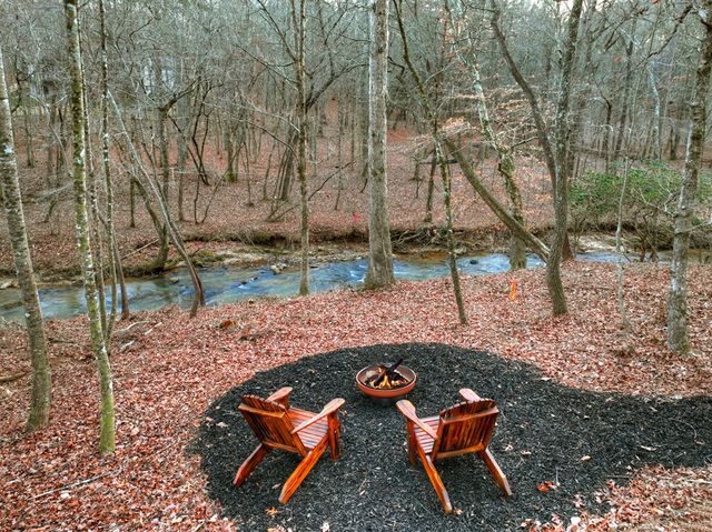158 Tree Line Lane, Ellijay, GA 30536