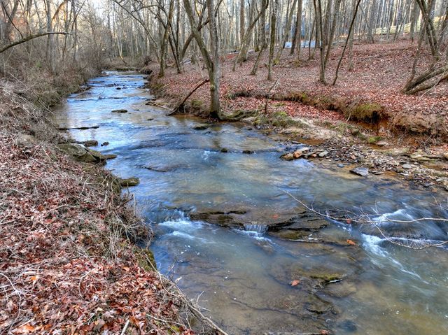 158 Tree Line Lane, Ellijay, GA 30536
