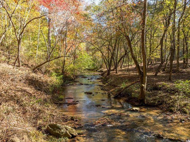 158 Tree Line Lane, Ellijay, GA 30536
