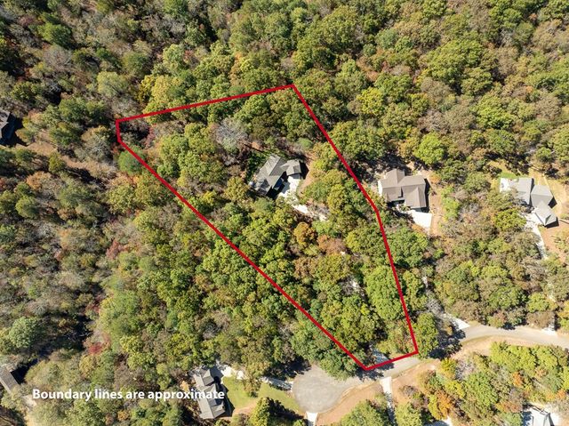 158 Tree Line Lane, Ellijay, GA 30536