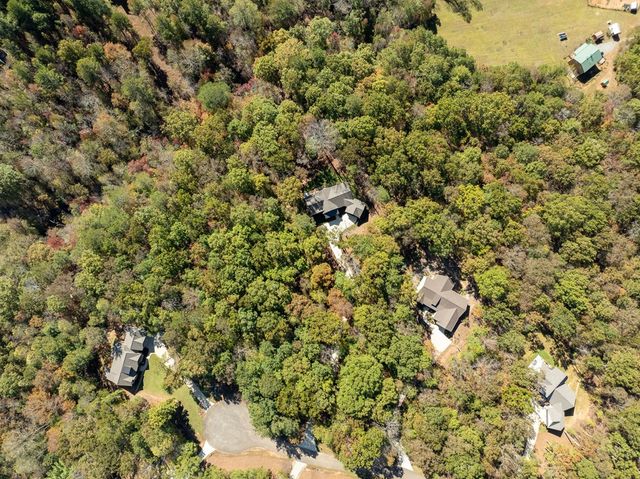 158 Tree Line Lane, Ellijay, GA 30536