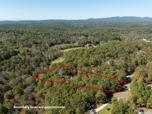 158 Tree Line Lane, Ellijay, GA 30536