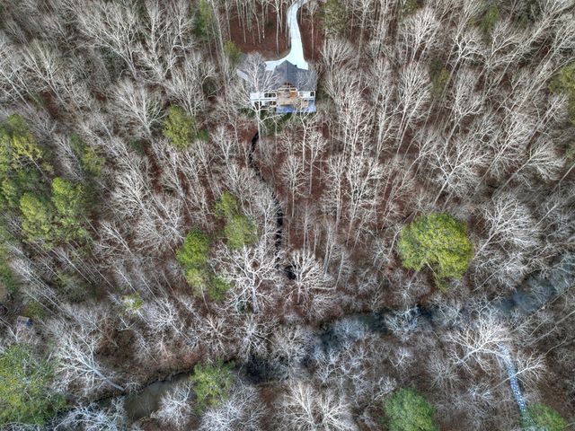 158 Tree Line Lane, Ellijay, GA 30536